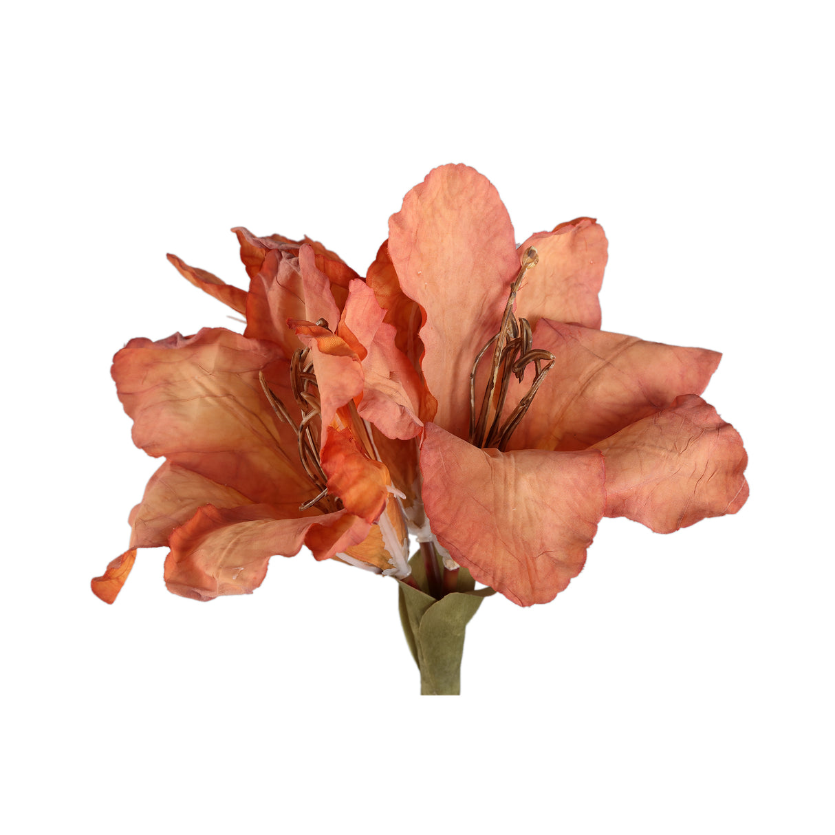 Amaryllis Flower - Orange Amaryllis Stem, Metal, Plastic, Canvas | PTMD