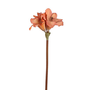 Amaryllis Flower - Orange Amaryllis Stem, Metal, Plastic, Canvas | PTMD
