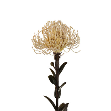 Gartenblume - Creme Nutan Blumenstiel, Metall, Kunststoff, leinwand| PTMD