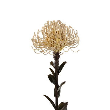 Gartenblume - Creme Nutan Blumenstiel, Metall, Kunststoff, leinwand| PTMD