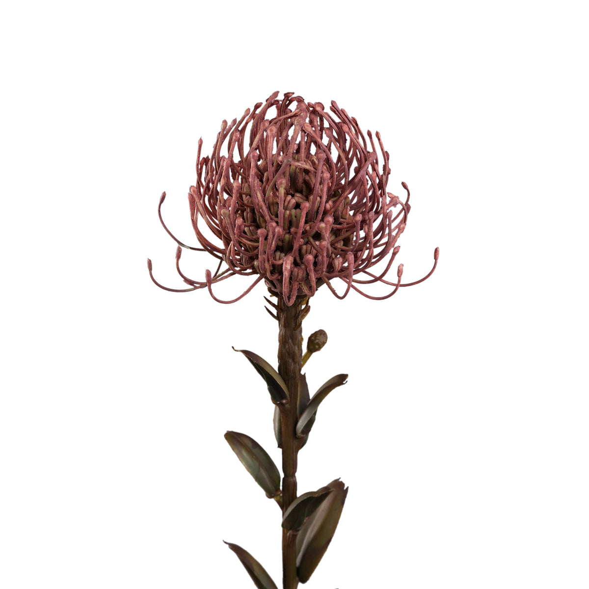 Garden flower - Pink Nutan flower stem, metal, plastic, canvas | PTMD