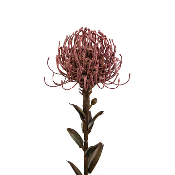 Gartenblume - Rosa Nutan Blumenstiel, Metall, Kunststoff, leinwand| PTMD