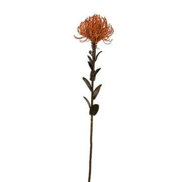 Gartenblume - Kamel Nutan Blumenstiel, Metall, Kunststoff, leinwand| PTMD