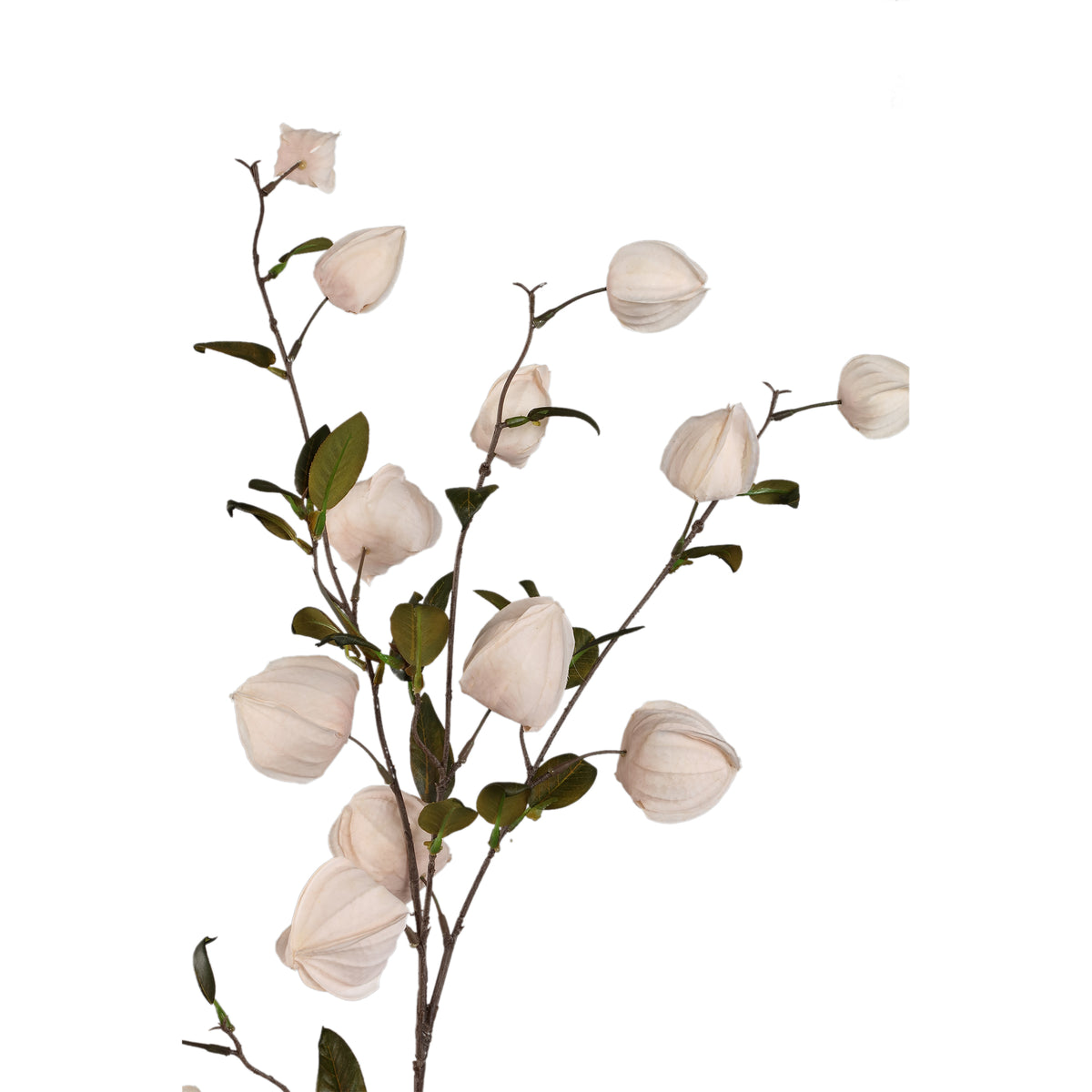 Garden Flower - Cream Chinese Lantern Spray, Metal, Plastic, canvas| PTMD
