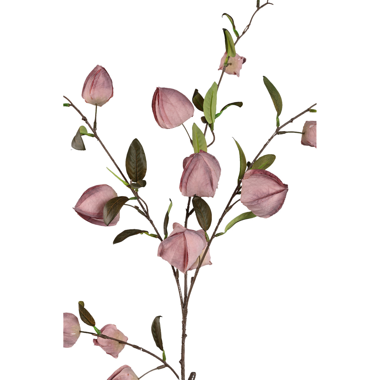 Garden flower - Purple Chinese lantern spray, metal, plastic, canvas| PTMD
