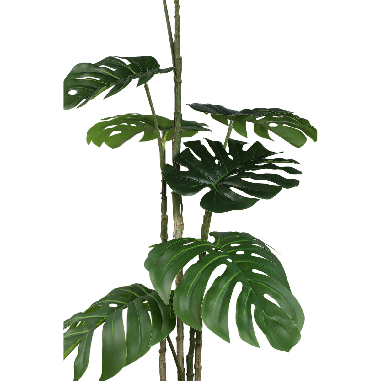 Tree green with Monstera plant, potted and made of plastic and polyester, S | PTMD