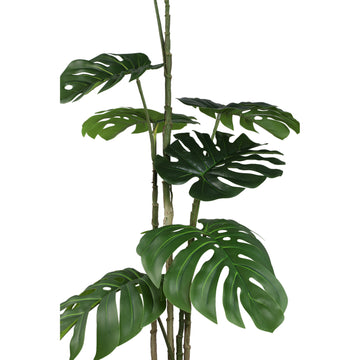Baumgrün mit Monstera-Pflanze, im Topf und aus Kunststoff und Polyester, S | PTMD