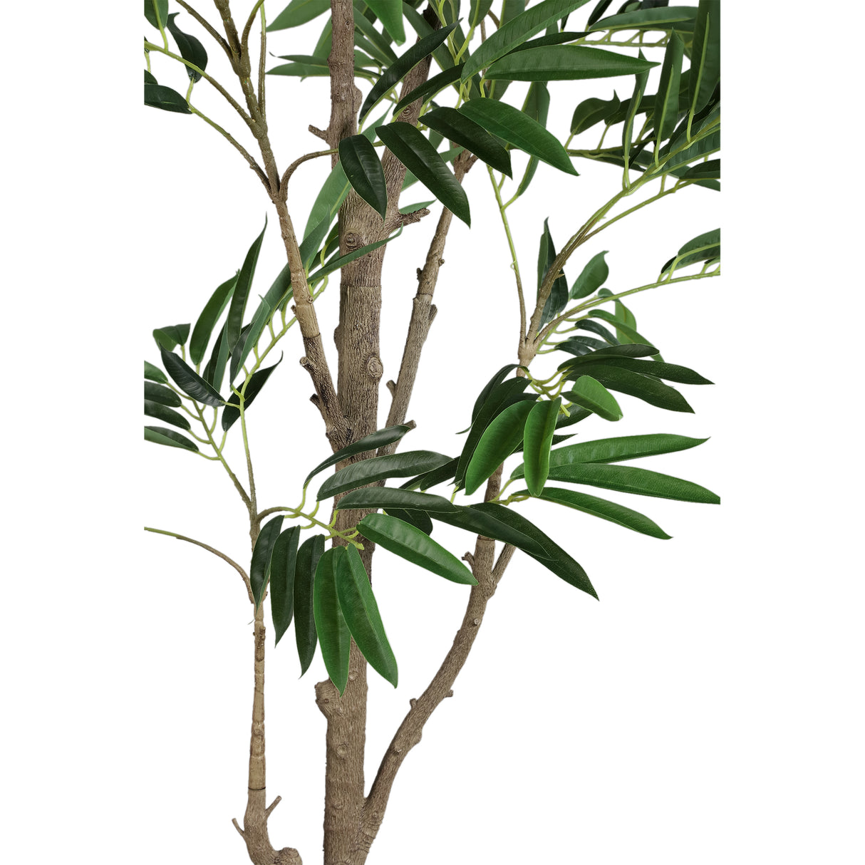 Baumgrün mit Ficus Benjamina, im Kunststofftopf und aus Kunststoff und Polyester, L | PTMD