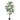 Baumgrün mit Ficus Benjamina, im Kunststofftopf und aus Kunststoff und Polyester, L | PTMD