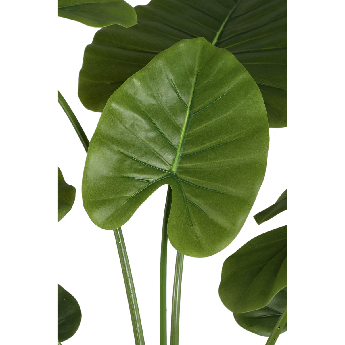 Leafy plant with green Dishgyi plant, potted and made of plastic, M | PTMD