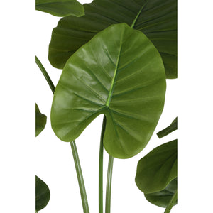 Leafy plant with green Dishgyi plant, potted and made of plastic, M | PTMD