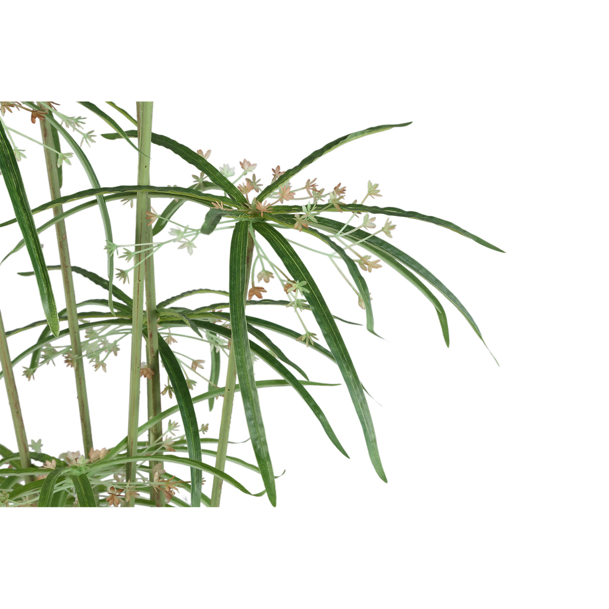 Blätterpflanze – Grüne Graptopetalum-Pflanze im Topf aus Kunststoff, Metall und Zement, M | PTMD
