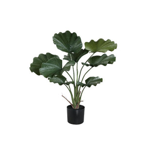 Leafy Plant with Dark Green Licuala Plant, Potted and Made of Plastic, M | PTMD