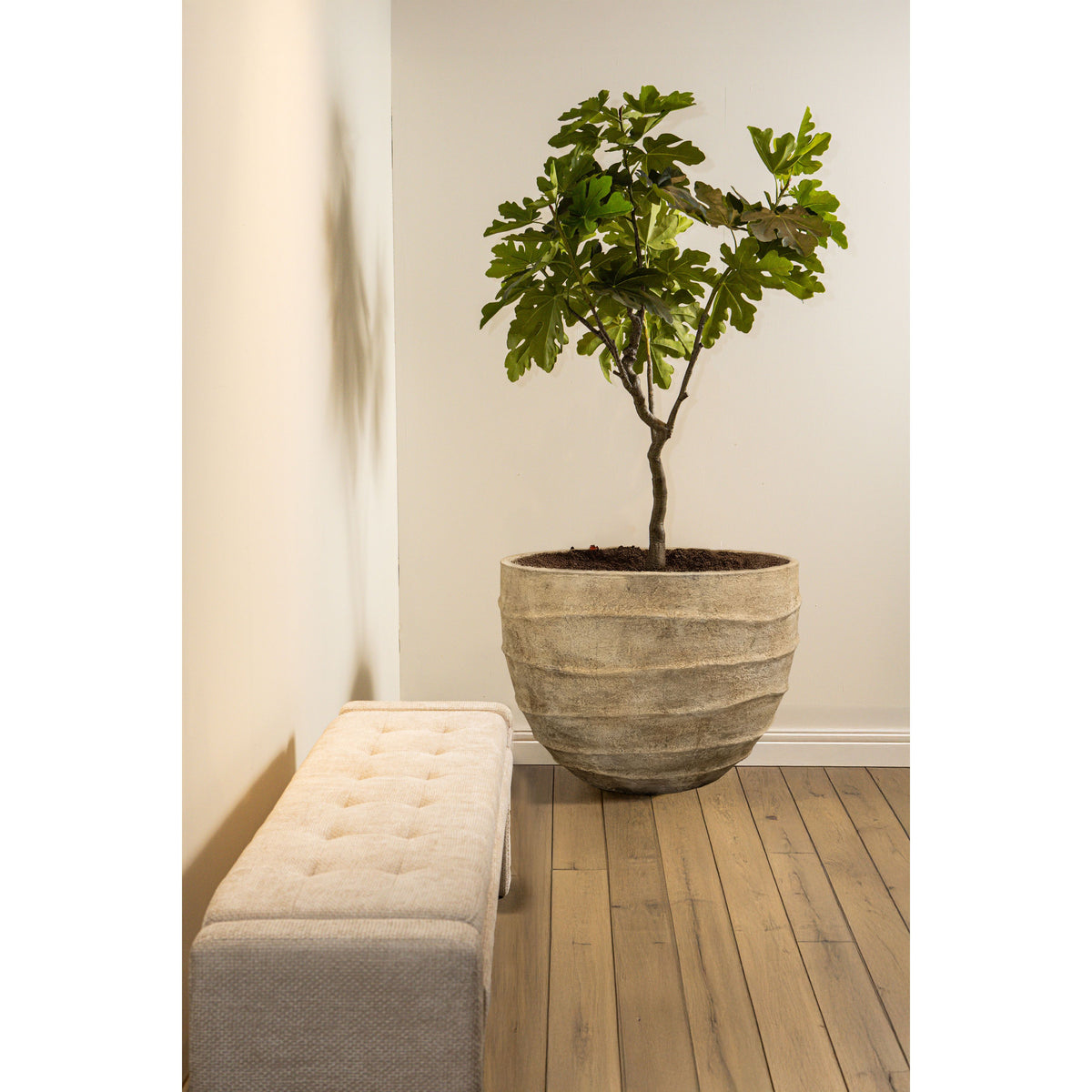 Pot - beige surface, wave pattern, round shape - Ravi | PTMD