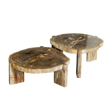 Couchtisch – Versteinertes Holz, Dreibein Design, Organische Form, Natur, Niedrig – Kayo | PTMD