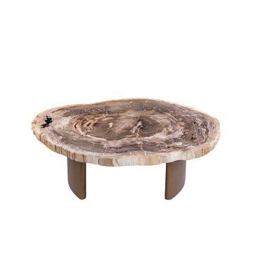 Couchtisch – Versteinertes Holz, Messinggestell, Organische Form, Natur – Yoel | PTMD