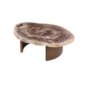 Couchtisch – Versteinertes Holz, Messinggestell, Organische Form, Natur – Yoel | PTMD