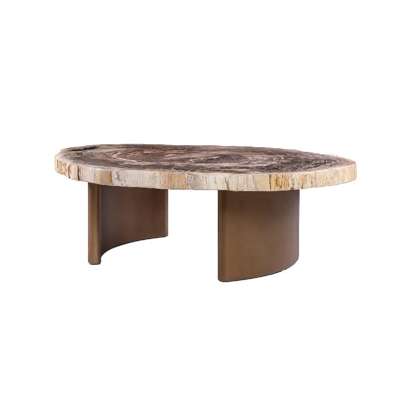 Couchtisch – Versteinertes Holz, Messinggestell, Organische Form, Natur – Yoel | PTMD