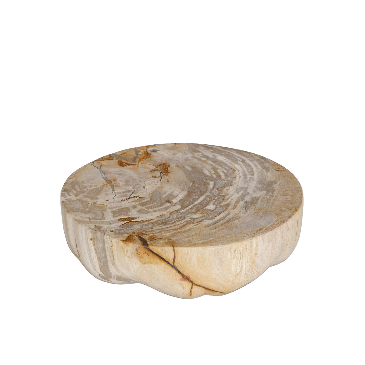 Dekotablett – Versteinertes Holz, Halbkugel Design, Naturbelassene Oberfläche, S – Bethe | PTMD