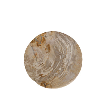 Dekotablett – Versteinertes Holz, Halbkugel Design, Naturbelassene Oberfläche, S – Bethe | PTMD