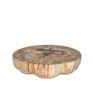 Decorative Tray – Petrified Wood, Hemisphere Design, Natural Surface, L – Bethe | PTMD