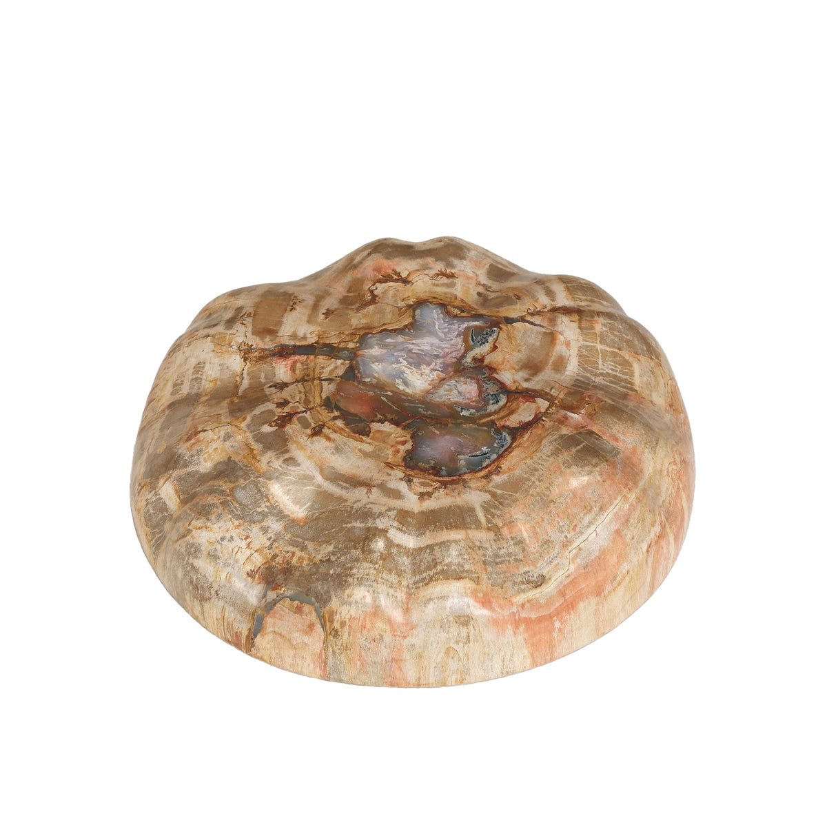 Decorative Tray – Petrified Wood, Hemisphere Design, Natural Surface, L – Bethe | PTMD