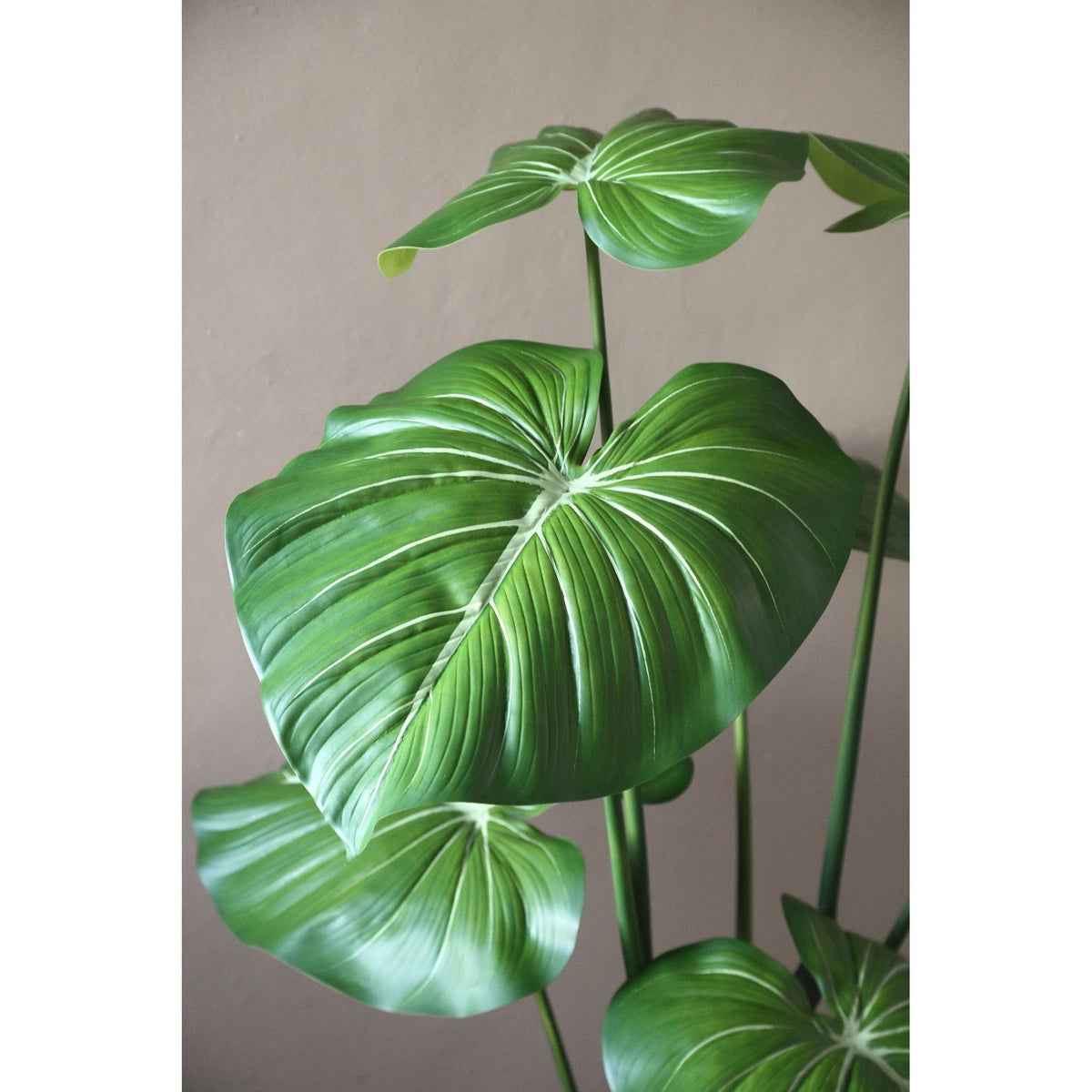 Blätterpflanze – Grüne Monstera-Blattpflanze im schwarzen Topf aus Kunststoff & PE-Kunststoff, L | PTMD