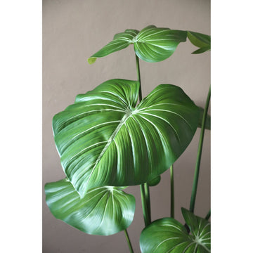 Blätterpflanze – Grüne Monstera-Blattpflanze im schwarzen Topf aus Kunststoff & PE-Kunststoff, L | PTMD