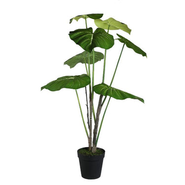 Blätterpflanze – Grüne Monstera-Blattpflanze im schwarzen Topf aus Kunststoff & PE-Kunststoff, L | PTMD
