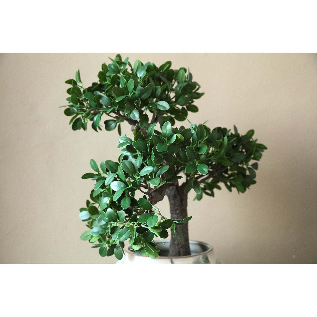 Tree green with Banyan tree, in a black pot and made of plastic, L | PTMD