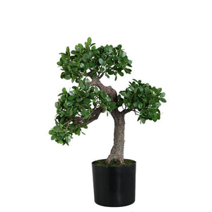 Tree green with Banyan tree, in a black pot and made of plastic, L | PTMD