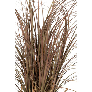 Blätterpflanze – Beige Elefantenfußpalme im Glasvase aus Glas, Kunststoff & Poly, M | PTMD