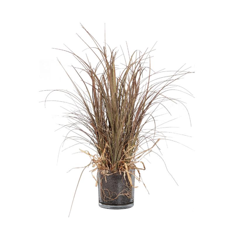 Blätterpflanze – Beige Elefantenfußpalme im Glasvase aus Glas, Kunststoff & Poly, M | PTMD
