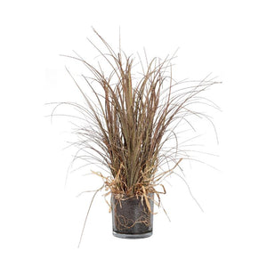 Blätterpflanze – Beige Elefantenfußpalme im Glasvase aus Glas, Kunststoff & Poly, M | PTMD