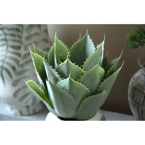 Kunstpflanze - Große Grüne Agave im Topf, Kunststoff, Naturoptik,M | PTMD