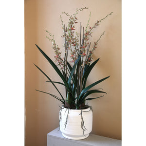 Artificial Plant - Green Leaves, Ceramic Pot, Plastic Polyester, L | PTMD