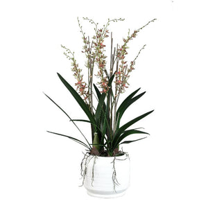 Artificial Plant - Green Leaves, Ceramic Pot, Plastic Polyester, L | PTMD