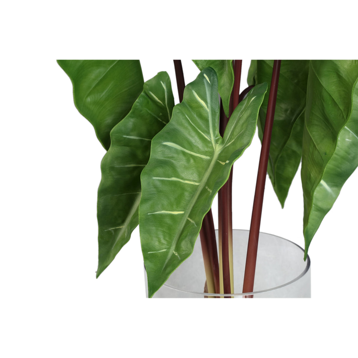 Blätterpflanze – Grünes Philodendron im Glasgefäß aus Glas & PE-Kunststoff, S | PTMD