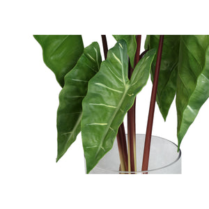 Blätterpflanze – Grünes Philodendron im Glasgefäß aus Glas & PE-Kunststoff, S | PTMD