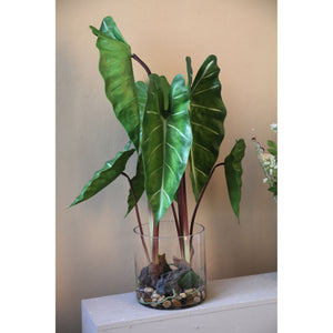 Blätterpflanze – Grünes Philodendron im Glasgefäß aus Glas & PE-Kunststoff, S | PTMD