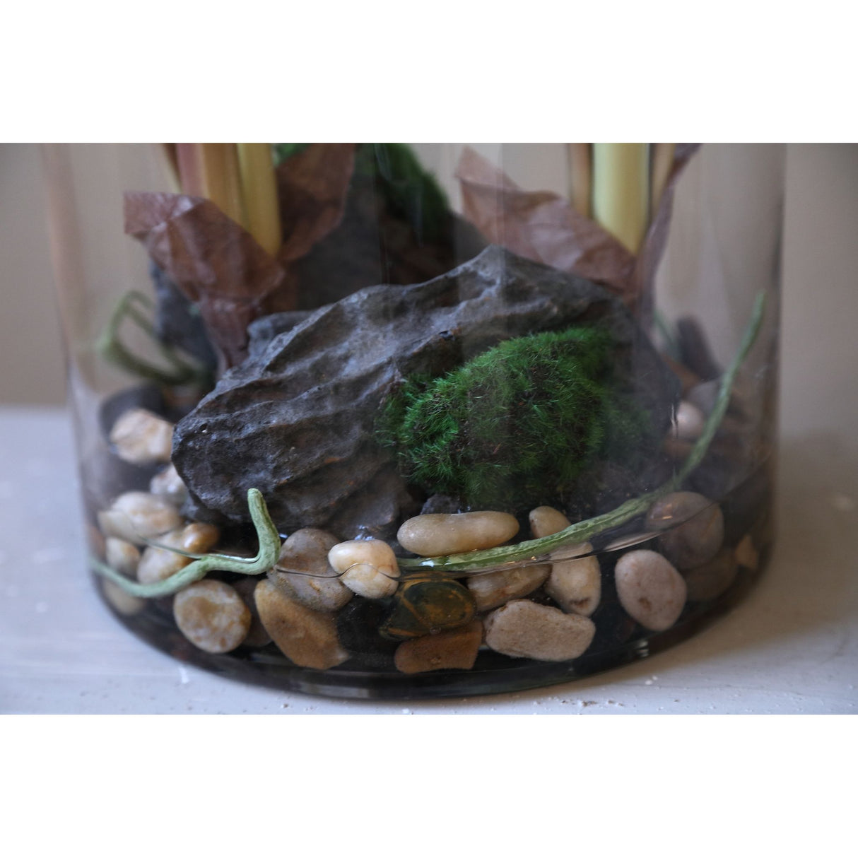 Blätterpflanze – Grünes Philodendron im Glasgefäß aus Glas & PE-Kunststoff, S | PTMD