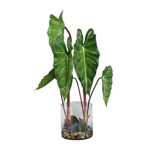 Blätterpflanze – Grünes Philodendron im Glasgefäß aus Glas & PE-Kunststoff, S | PTMD