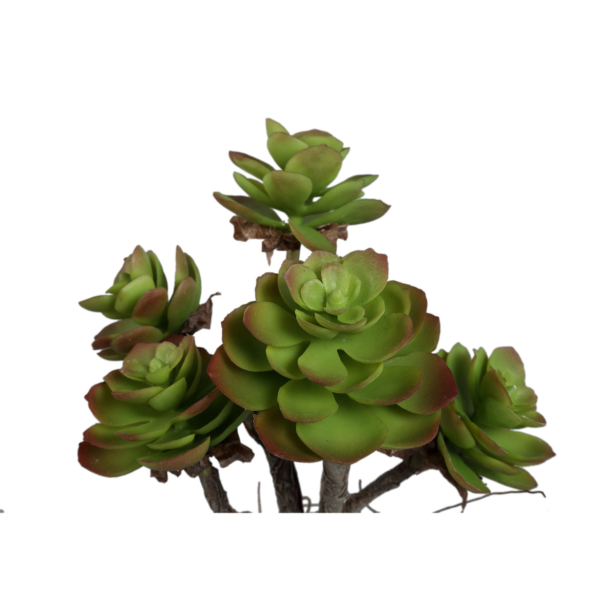 Artificial Plant - Dark Green Aeonium, Cement Pot, Plastic – M | PTMD