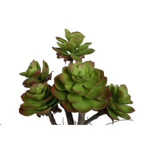Artificial Plant - Dark Green Aeonium, Cement Pot, Plastic – M | PTMD