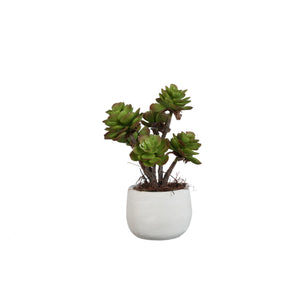 Artificial Plant - Dark Green Aeonium, Cement Pot, Plastic – M | PTMD