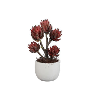 Kunstpflanze - Bronze Echeveria, Zementtopf, Kunststoff,L  | PTMD