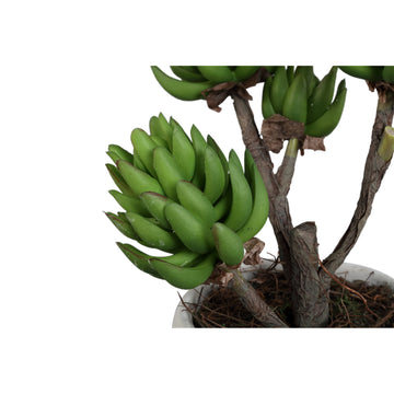 Artificial Plant - Green Echeveria, Cement Pot, Plastic, L | PTMD
