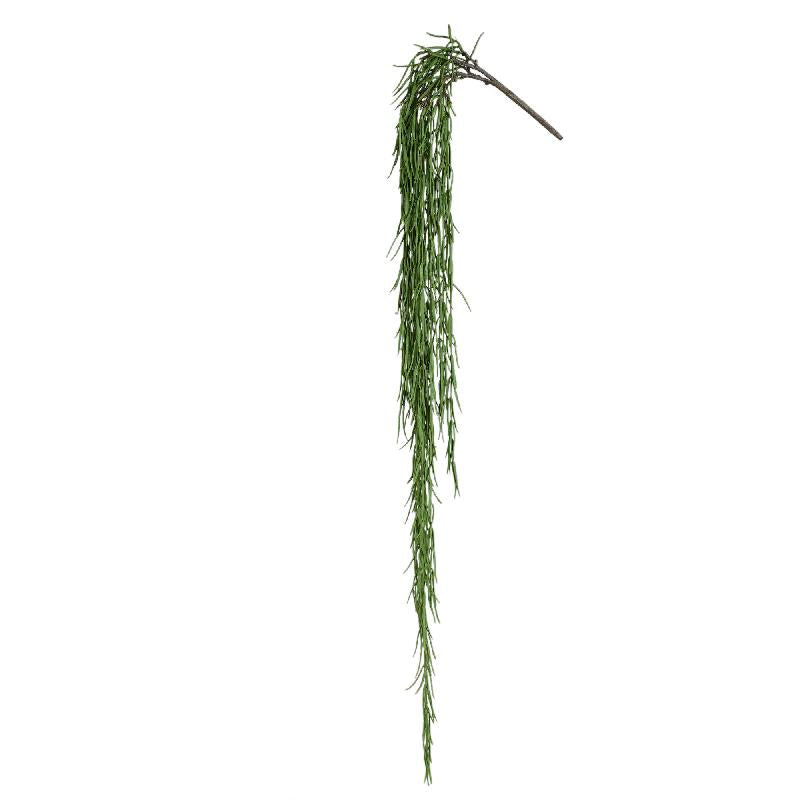 Succulent Plant - Green Hanging Vines made of PE Plastic with Natural Finish, L | PTMD