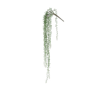 Succulent Plant - Green Hanging String of Pearls made of PE plastic, L | PTMD