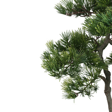 Baumgrün mit Kiefernbaum, im schwarzen Topf und aus Kunststoff, M | PTMD